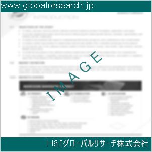 グローバルリサーチ調査資料のイメージ